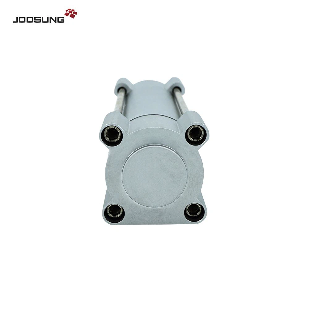 DSBG series cylinder