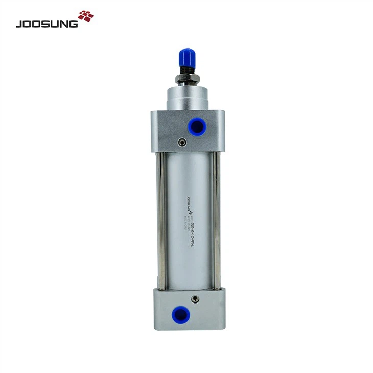 DSBG Pneumatic Cylinder