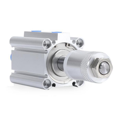 Sgrùdadh coileanta air deich seòrsa de siolandair